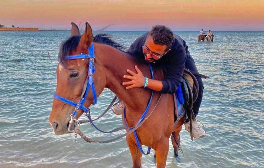 Horseback Riding: Desert, Beach & Swim