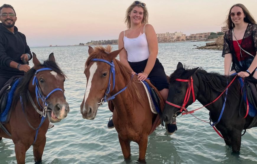 Horseback Riding: Desert, Beach & Swim