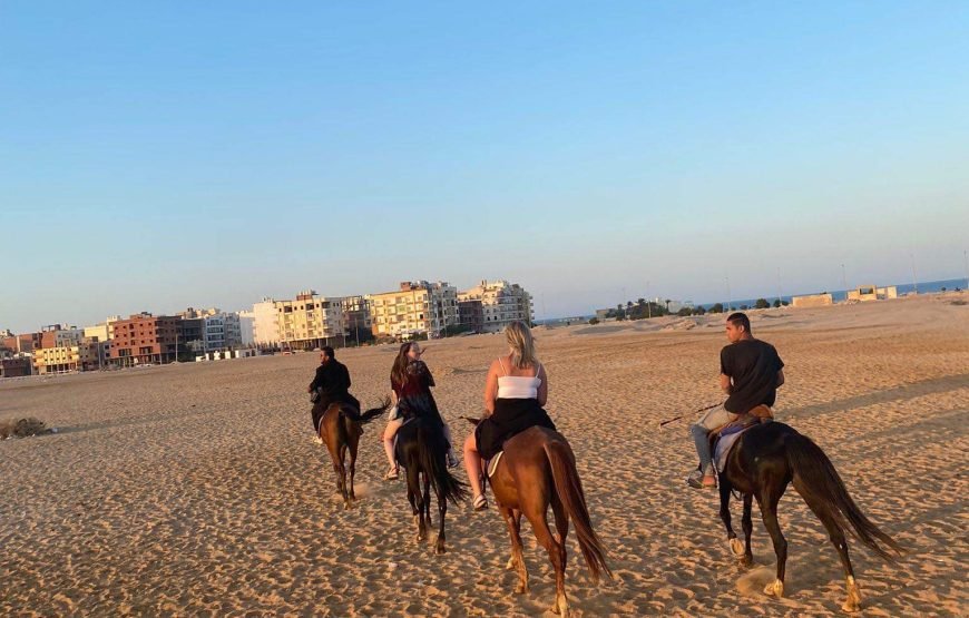 Horseback Riding: Desert, Beach & Swim