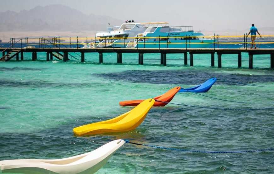 Bianca Island Full-Day Snorkeling Trip