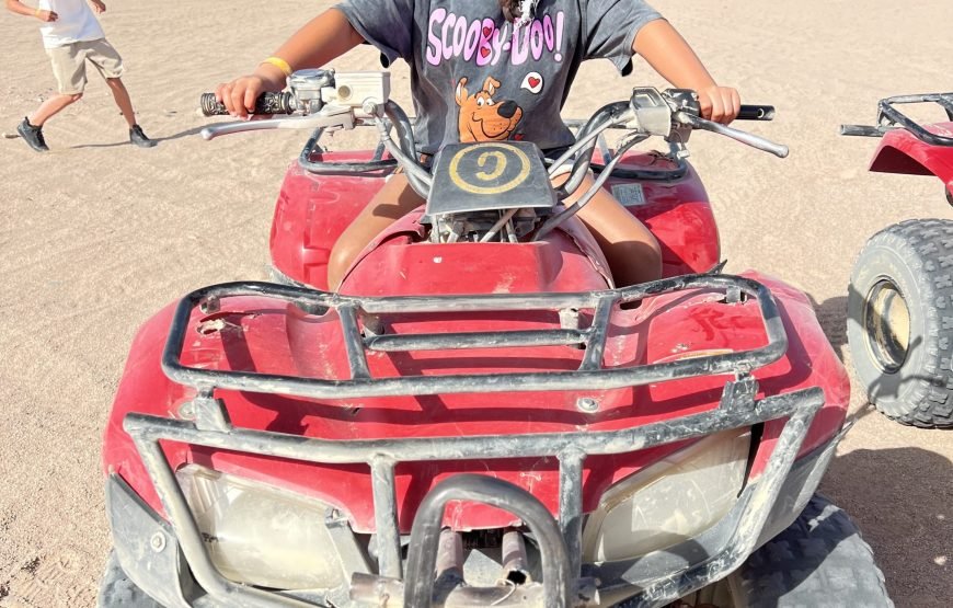 Private Quad Safari In Morning
