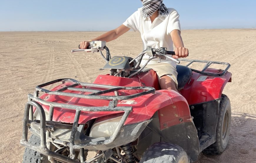 Private Quad Safari In Morning