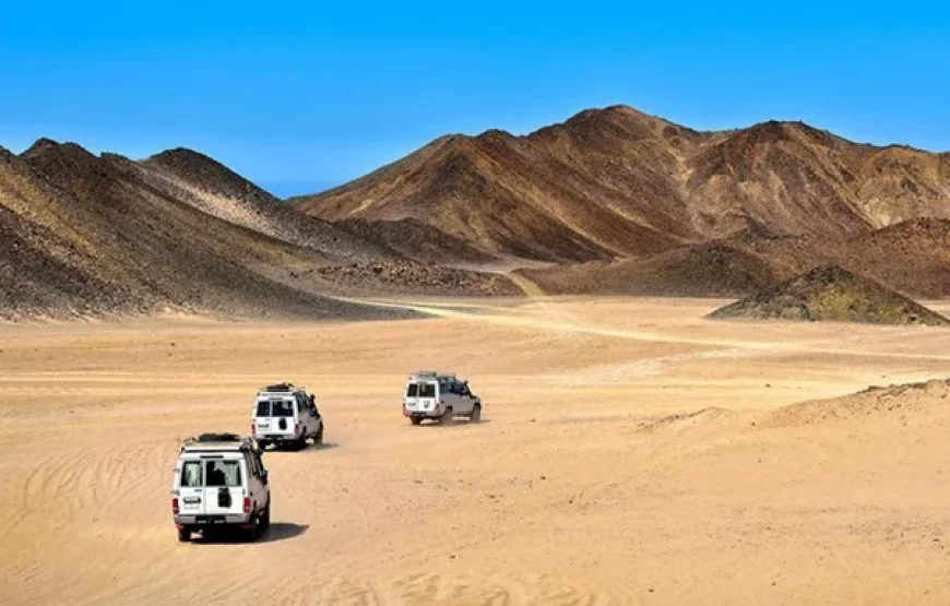 Super Safari Tour