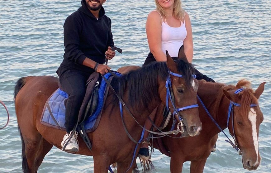 Horseback Riding: Desert, Beach & Swim
