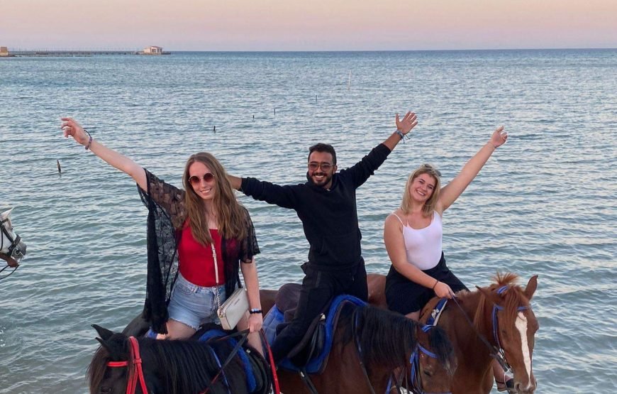 Horseback Riding: Desert, Beach & Swim