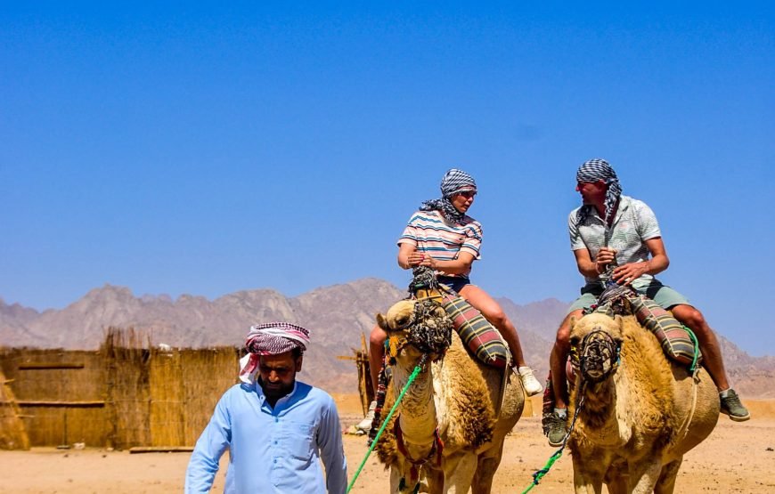 Family Safari Morning In Hurghada