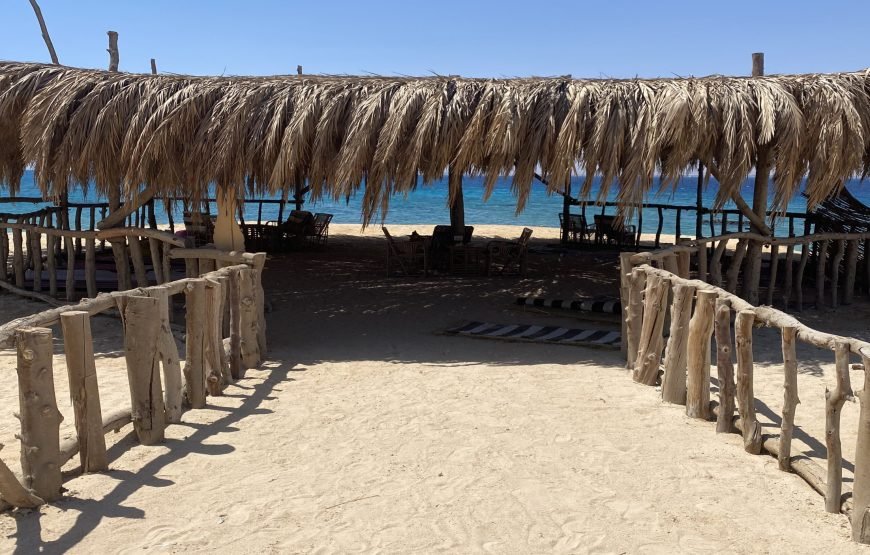 Magawish Island Full-Day Snorkeling Trip