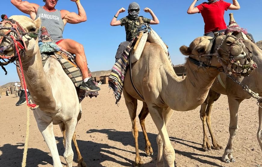 Private Buggy Safari Tour