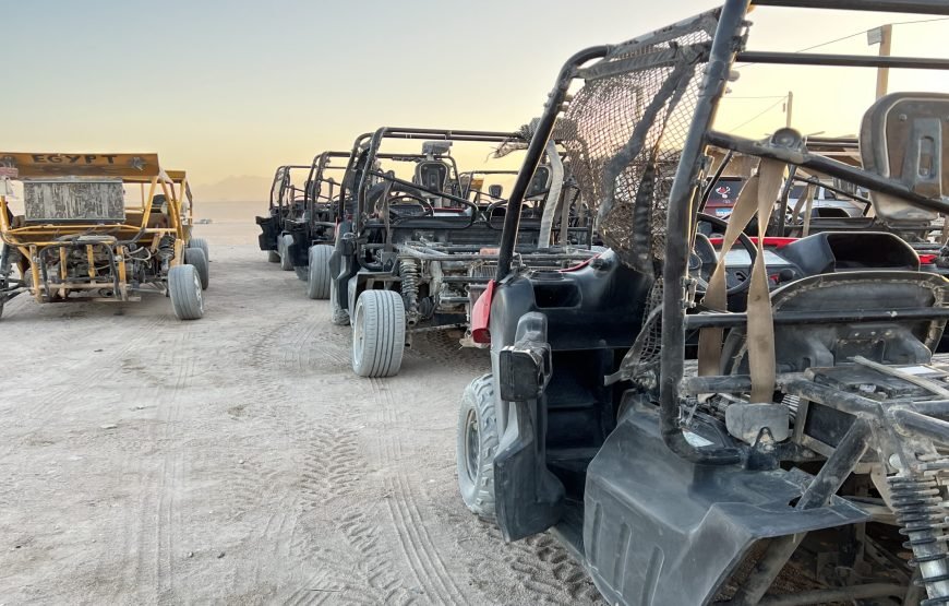 Private Buggy Safari Tour