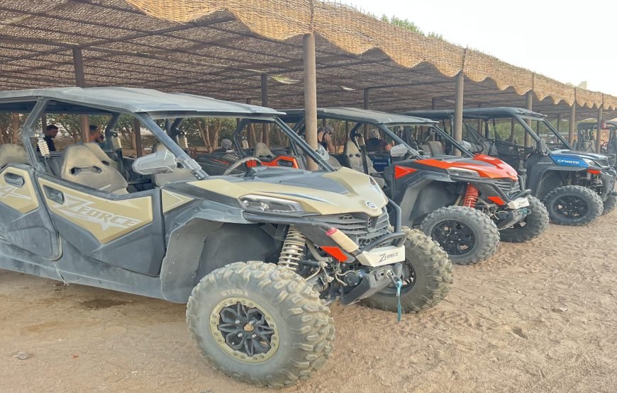 Buggy Private Safari Tour along the Sea & in the Desert Makadi