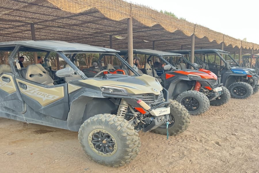 Buggy Private Safari Tour along the Sea & in the Desert Makadi