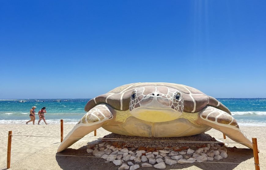 Private Abu Dabbab Bay from Hurghada